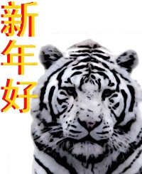 MMSCards Nouvel An Chinoise